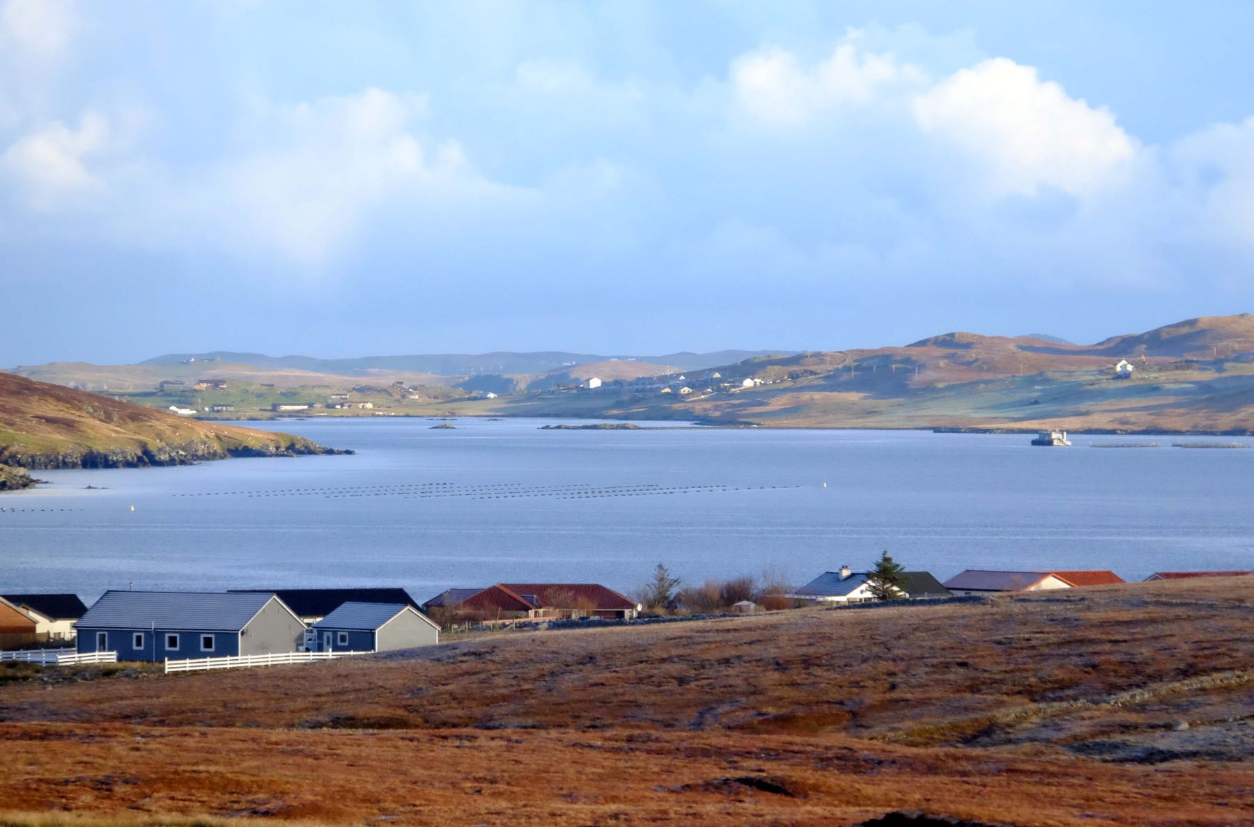 A coastal scene of wadbister voe & catfirth, with house dotting the shore and salmon farming activity visible on the water